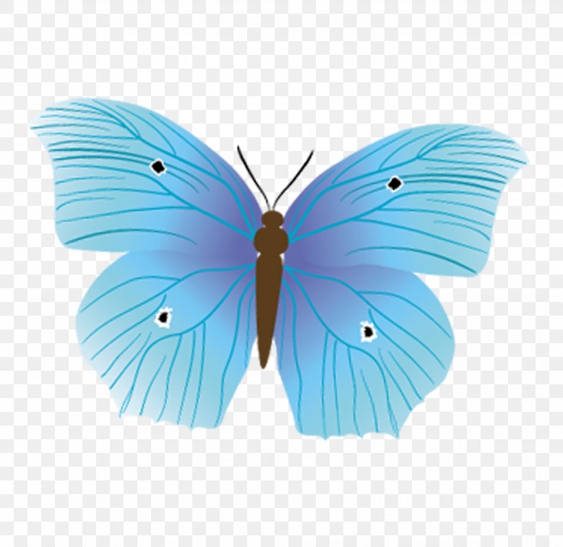 Butterfly Diagram Nymphalidae Insect, PNG, 972x945px, Butterfly, Aqua, Azure, Brush Footed Butterfly, Butterfly Diagram Download Free