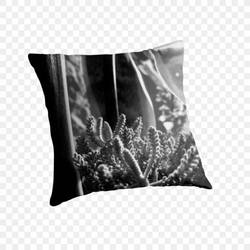 Monochrome Photography Throw Pillows Black And White Cushion, PNG, 875x875px, Monochrome Photography, Black, Black And White, Cushion, Monochrome Download Free