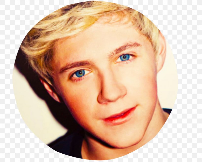 Niall Horan Mullingar One Direction Boy Band, PNG, 1280x1024px, Watercolor, Cartoon, Flower, Frame, Heart Download Free