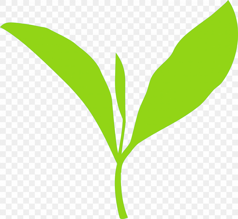 Tea Leaves Leaf Spring, PNG, 3000x2758px, Tea Leaves, Flower, Herb, Herbaceous Plant, Leaf Download Free