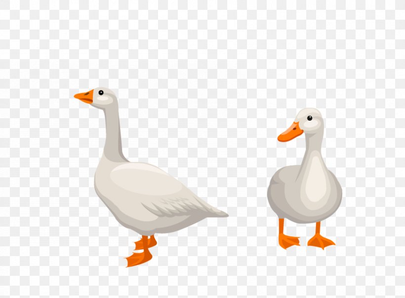 Donald Duck Goose Euclidean Vector, PNG, 846x625px, Duck, Beak, Bird, Donald Duck, Ducks Geese And Swans Download Free