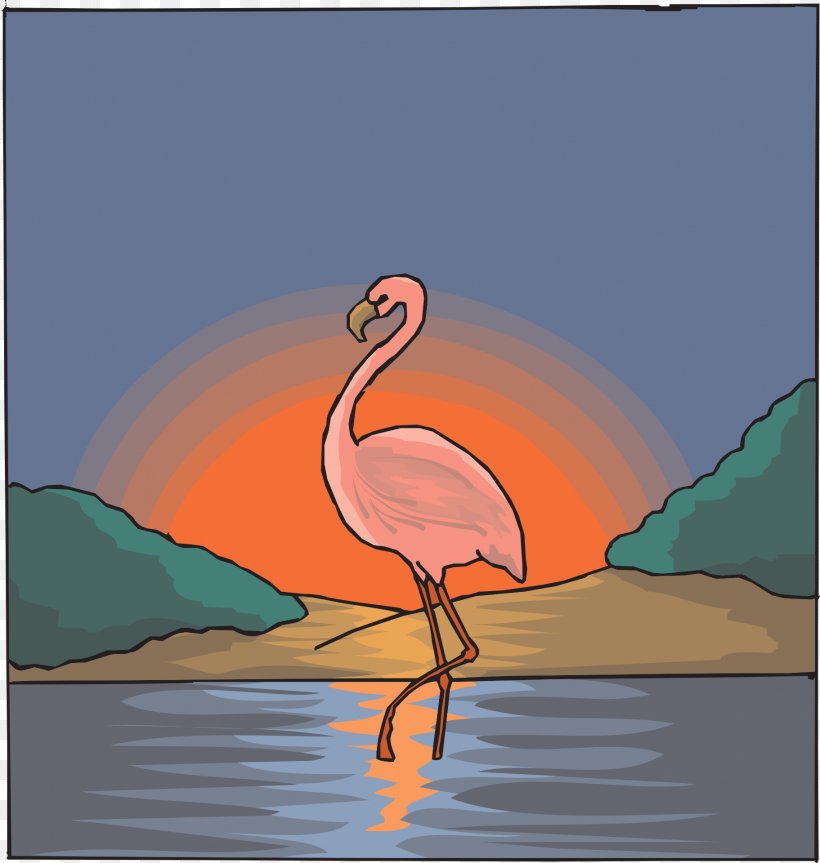 Flamingo Bird Drawing Zazzle, PNG, 1823x1920px, Flamingo, Art, Attack Flamingo, Beak, Bird Download Free