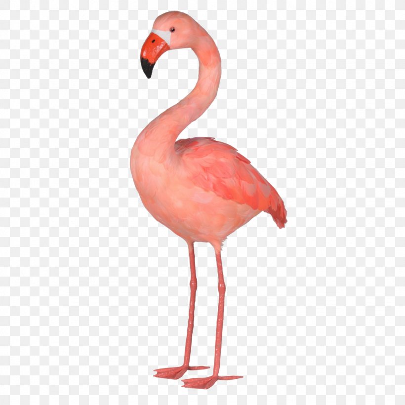 Plastic Flamingo Interior Design Services Art, PNG, 1024x1024px, Plastic Flamingo, Art, Beak, Bird, Decorative Arts Download Free