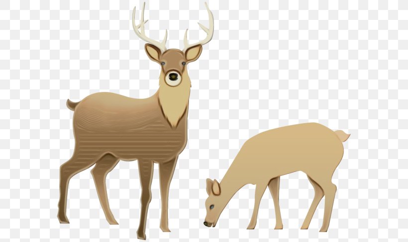 Reindeer, PNG, 600x487px, Watercolor, Deer, Elk, Fawn, Paint Download Free