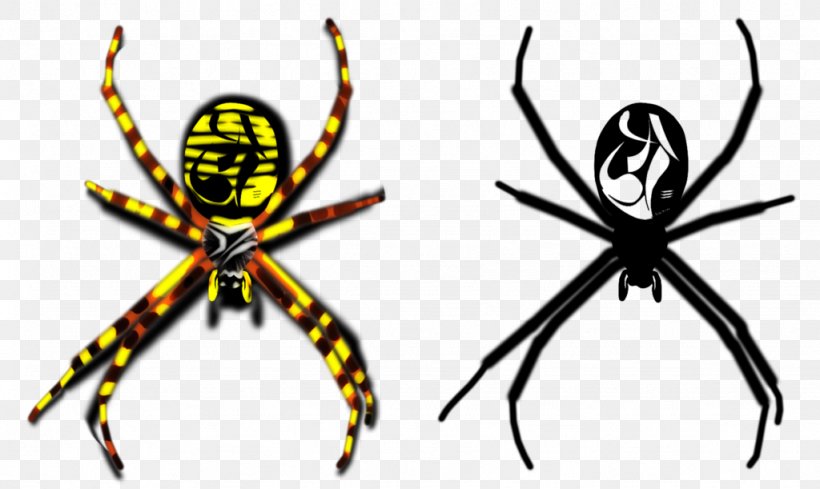 Widow Spiders Orb-weaver Spiders Insect Clip Art, PNG, 1024x611px, Widow Spiders, Arachnid, Arthropod, Artwork, Golden Silk Orbweaver Download Free