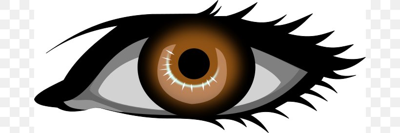 Eye Color Brown Clip Art, PNG, 680x273px, Watercolor, Cartoon, Flower,  Frame, Heart Download Free
