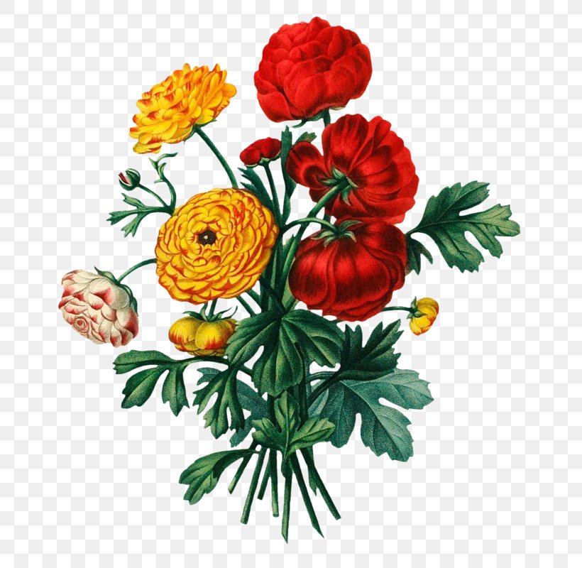 Floral Design Flower Bouquet Botany Clip Art, PNG, 694x800px, Floral Design, Annual Plant, Botany, Chrysanthemum, Chrysanths Download Free
