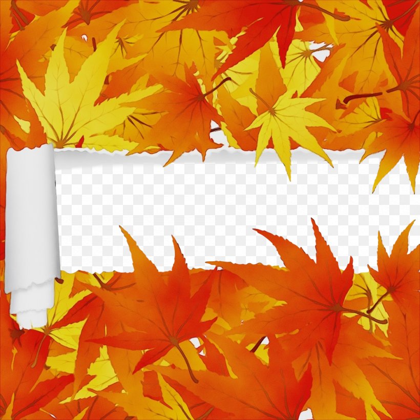 Maple Leaf, PNG, 1000x1000px, Watercolor, Autumn, Black Maple, Deciduous, Leaf Download Free