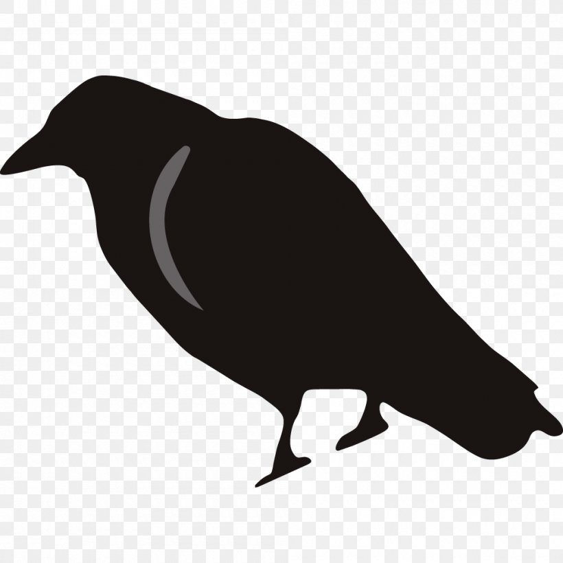Rook Common Raven Stock.xchng Clip Art, PNG, 1000x1000px, Rook, Beak, Bird, Black And White, Common Raven Download Free