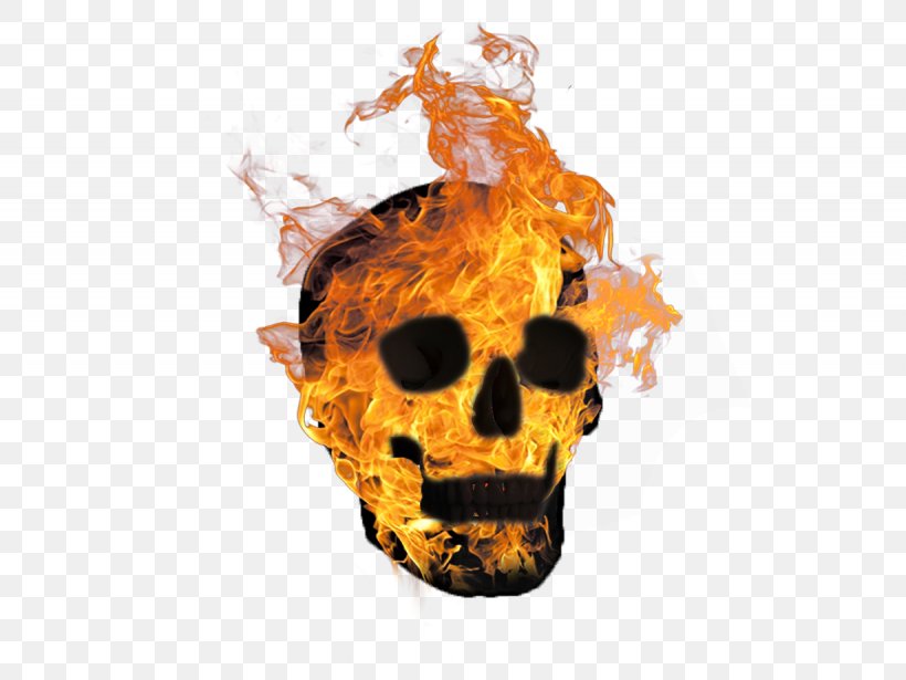 Skull Fire Image Download, PNG, 1230x923px, Skull, Bone, Calavera, Drawing, Fire Download Free