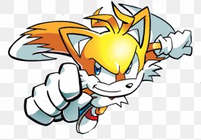 Tails Sonic the Hedgehog Sega, flying the flag, mammal, carnivoran, sonic  The Hedgehog png