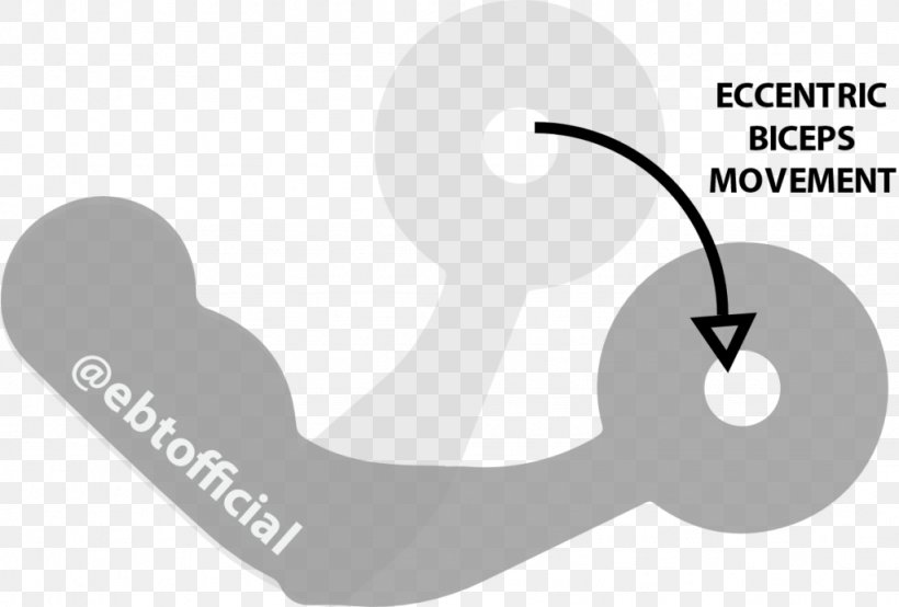 Exercise Weight Training Physical Fitness Muscle, PNG, 1024x693px, Exercise, Brand, Diagram, Elbow, Electronic Benefit Transfer Download Free