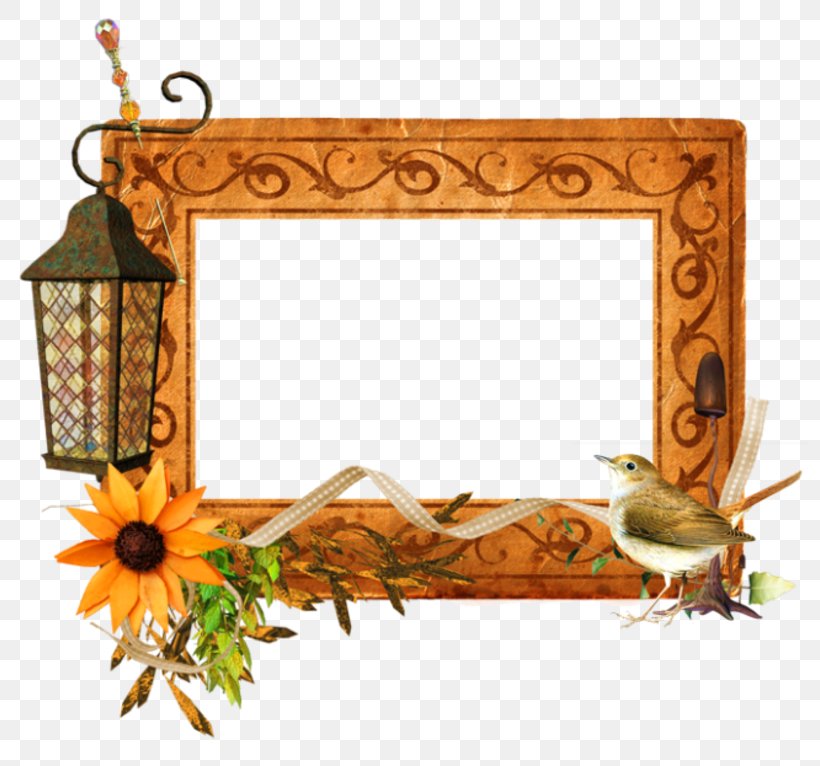 Picture Frames Rectangle Flower, PNG, 800x766px, Picture Frames, Decor, Flower, Picture Frame, Rectangle Download Free