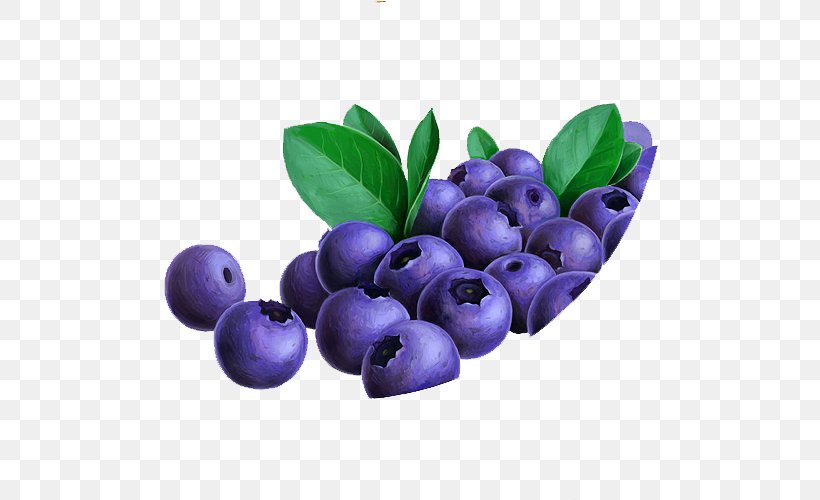 Blueberry Bilberry Fruit Lingonberry Anthocyanidin, PNG, 595x500px, Blueberry, Aedmaasikas, Anthocyanidin, Aristotelia Chilensis, Auglis Download Free