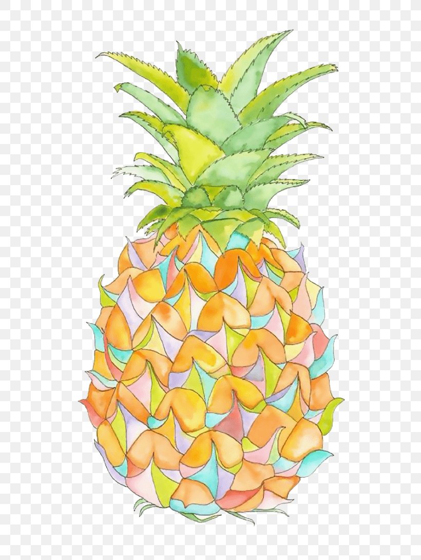 Pineapple Image Fruit Illustration, PNG, 690x1089px, Pineapple, Ananas, Bromeliaceae, Drawing, Food Download Free
