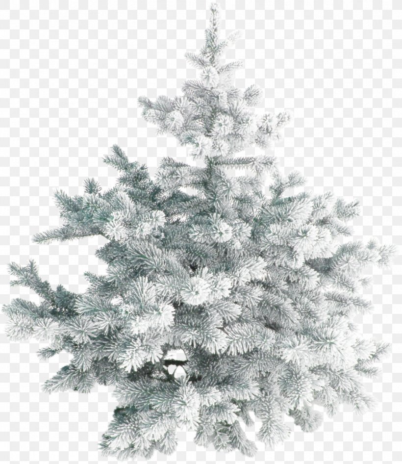 Christmas Tree Christmas Day Santa Claus Snow, PNG, 936x1080px, Christmas Tree, Branch, Christmas Day, Christmas Decoration, Christmas Ornament Download Free