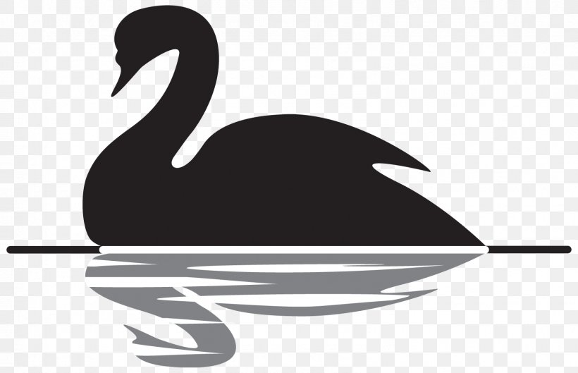 The Black Swan: The Impact Of The Highly Improbable Advaita Vedanta Yoga Psychology Indian Philosophy, PNG, 1592x1028px, Advaita Vedanta, Adi Shankara, Beak, Bird, Black And White Download Free