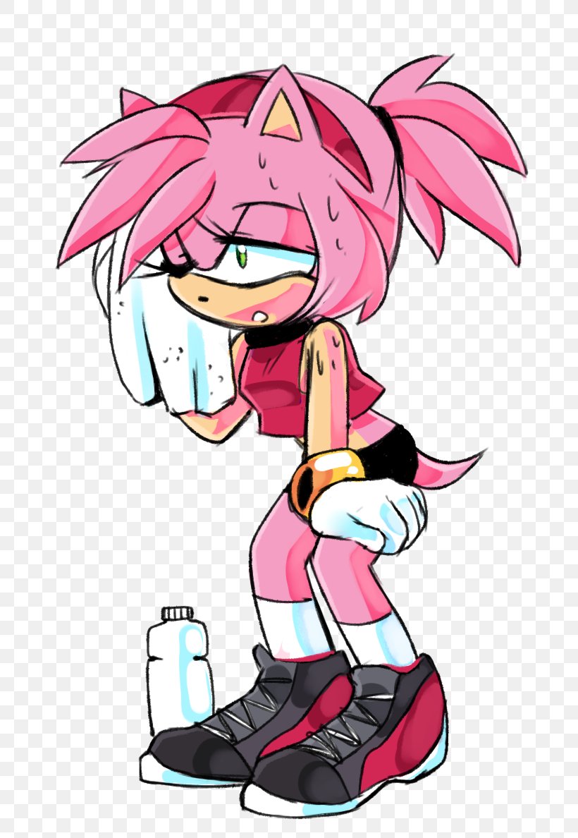 Amy Rose Sonic The Hedgehog Sonic Adventure Character, PNG, 696x1188px, Watercolor, Cartoon, Flower, Frame, Heart Download Free