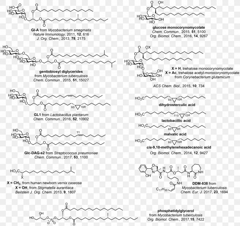 Bioorganic Chemistry Carbohydrate Chemistry, PNG, 3321x3127px, Organic Chemistry, Area, Bioorganic Chemistry, Black And White, Carbohydrate Download Free