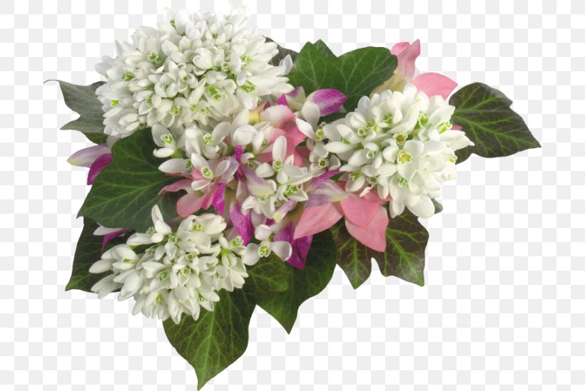 Hydrangea Flower, PNG, 700x549px, Hydrangea, Animation, Christmas Card, Cornales, Cut Flowers Download Free