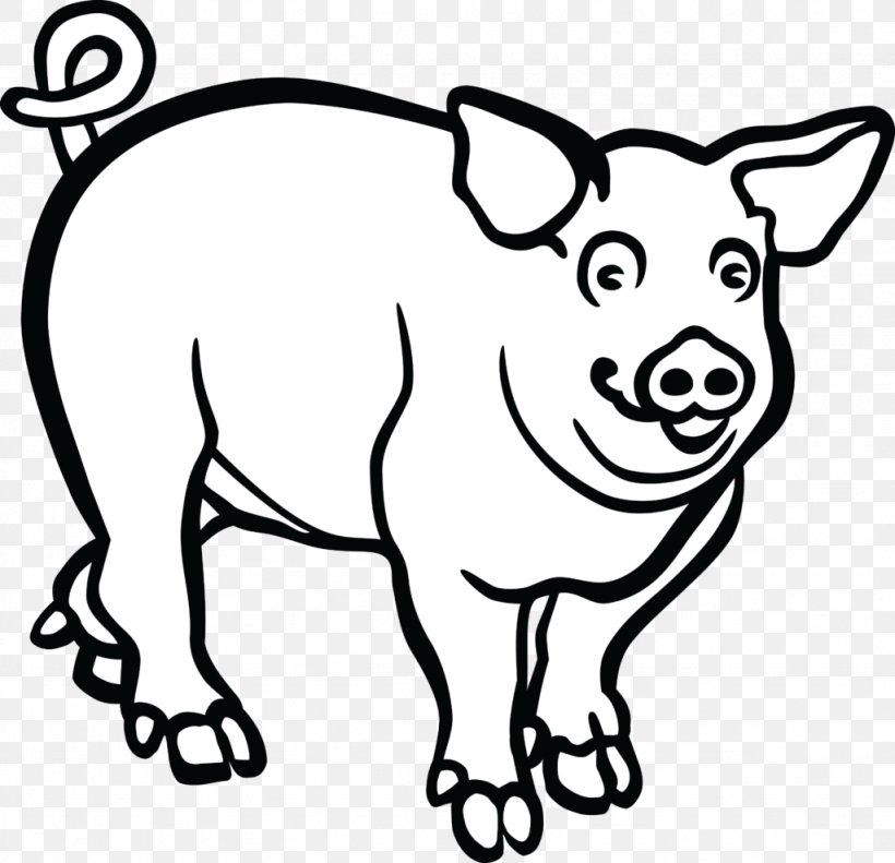 Large White Pig Large Black Pig Middle White Clip Art, PNG, 1024x989px, Large White Pig, Art, Black, Black And White, Carnivoran Download Free