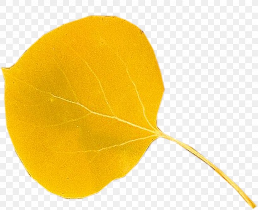 Leaf, PNG, 1403x1146px, Leaf, Plant, Yellow Download Free