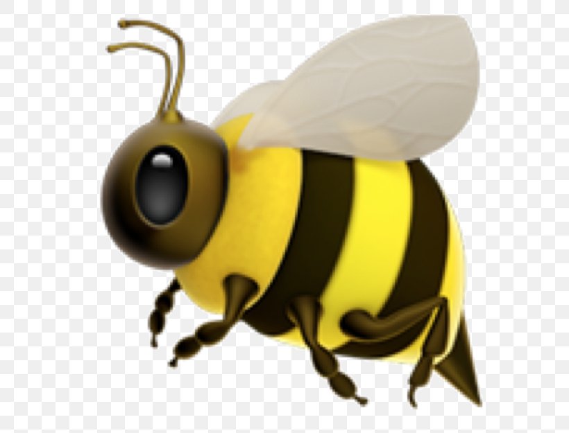 Western Honey Bee Insect Bumblebee Hornet, PNG, 618x625px, Bee, Animal, Apocephalus Borealis, Arthropod, Beehive Download Free