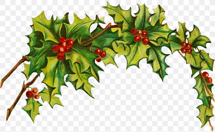 Associazione Nazionale Alpini Clip Art Image Vector Graphics, PNG, 1613x988px, Christmas Day, American Holly, Christmas Decoration, Christmas Eve, Drawing Download Free