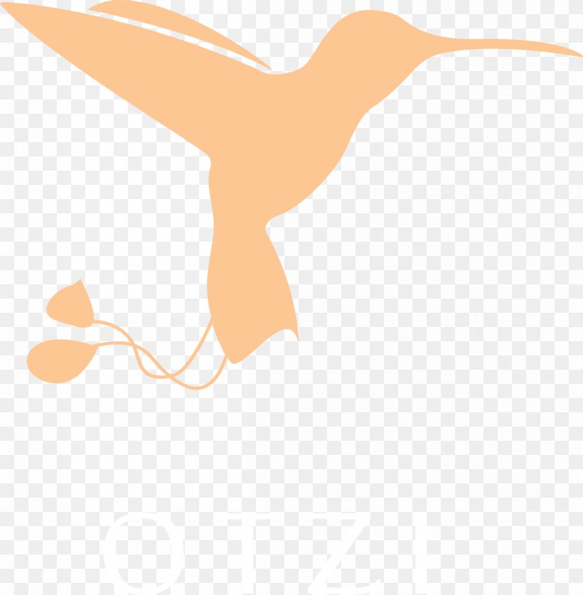 Beak Cygnini Goose Ducks, PNG, 1200x1225px, Beak, Arm, Bird, Cygnini, Duck Download Free
