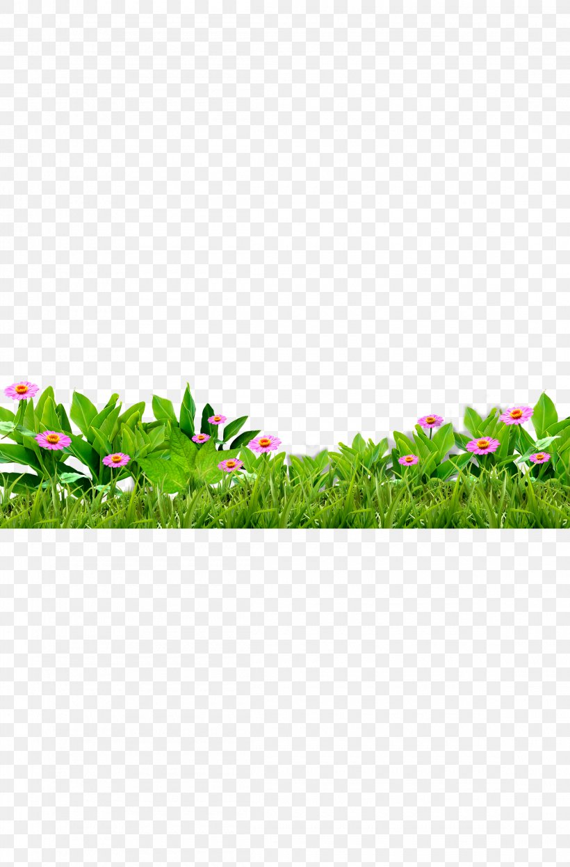Download, PNG, 2300x3500px, Flower, Area, Grass, Gratis, Green Download Free