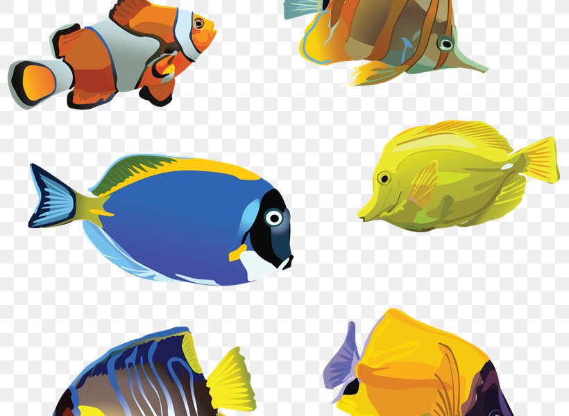 Goldfish Aquarium Clip Art, PNG, 800x600px, Goldfish, Animal Figure, Aquarium, Beak, Clownfish Download Free