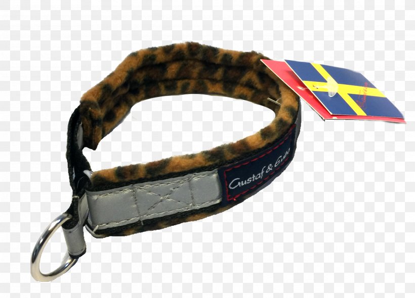 Leash Dog Collar Strap, PNG, 2588x1865px, Leash, Collar, Dog, Dog Collar, Fashion Accessory Download Free