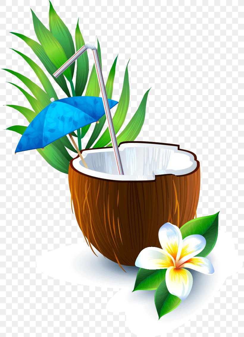 Vector Graphics Coconut Water Image Juice, PNG, 813x1134px, Coconut Water, Drawing, Flower, Flowerpot, Juice Download Free