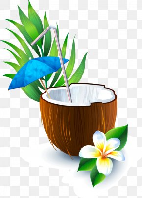Coconut Water Illustration Drawing Vector Graphics, PNG, 712x430px ...