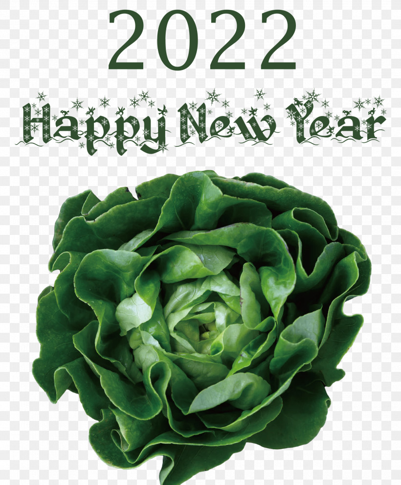 2022 Happy New Year 2022 New Year 2022, PNG, 2480x3000px, Salad, Arugula, Endive, Herb, Iceberg Lettuce Download Free