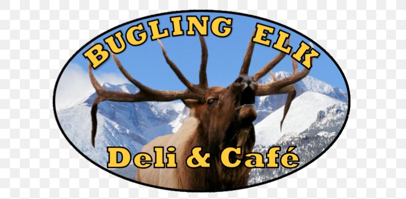 Cattle Elk Antler Wildlife, PNG, 675x402px, Cattle, Antler, Cattle Like Mammal, Deer, Elk Download Free