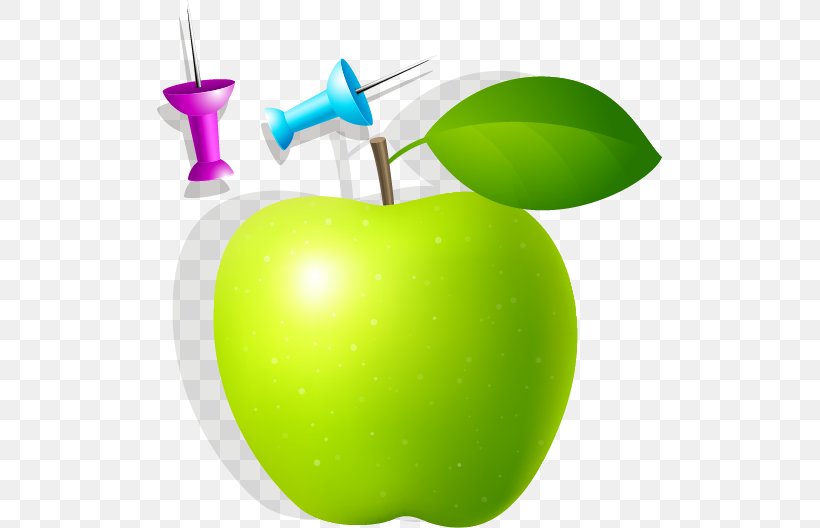 Granny Smith Apple, PNG, 505x528px, Granny Smith, Apple, Drawing, Food, Fruit Download Free