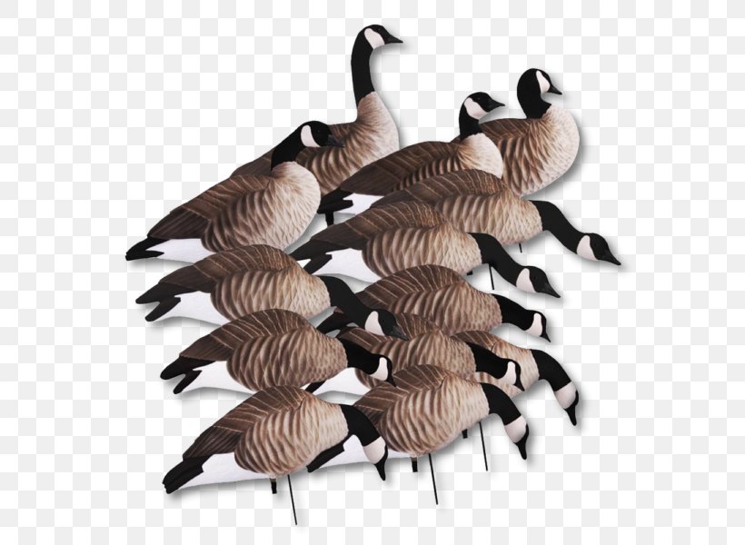Greylag Goose Canada Avery GHG Pro Grade Mallard Duck, PNG, 600x600px, Goose, Bird, Canada, Canada Goose, Decoy Download Free