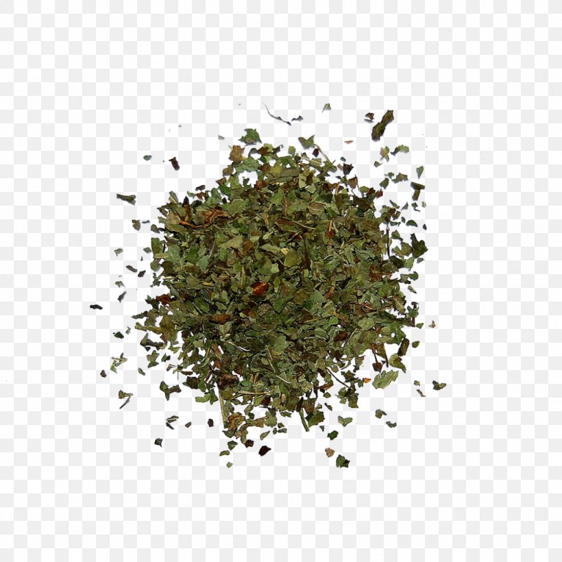 Seasoning, PNG, 1024x1024px, Seasoning, Grass, Herb, Spice Download Free