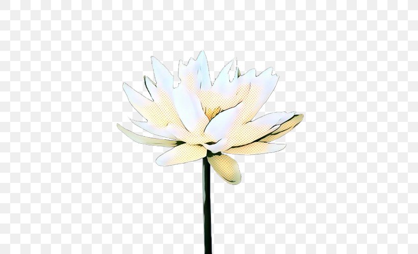 White Lily Flower, PNG, 500x500px, Petal, Aquatic Plant, Beige, Cut Flowers, Flower Download Free