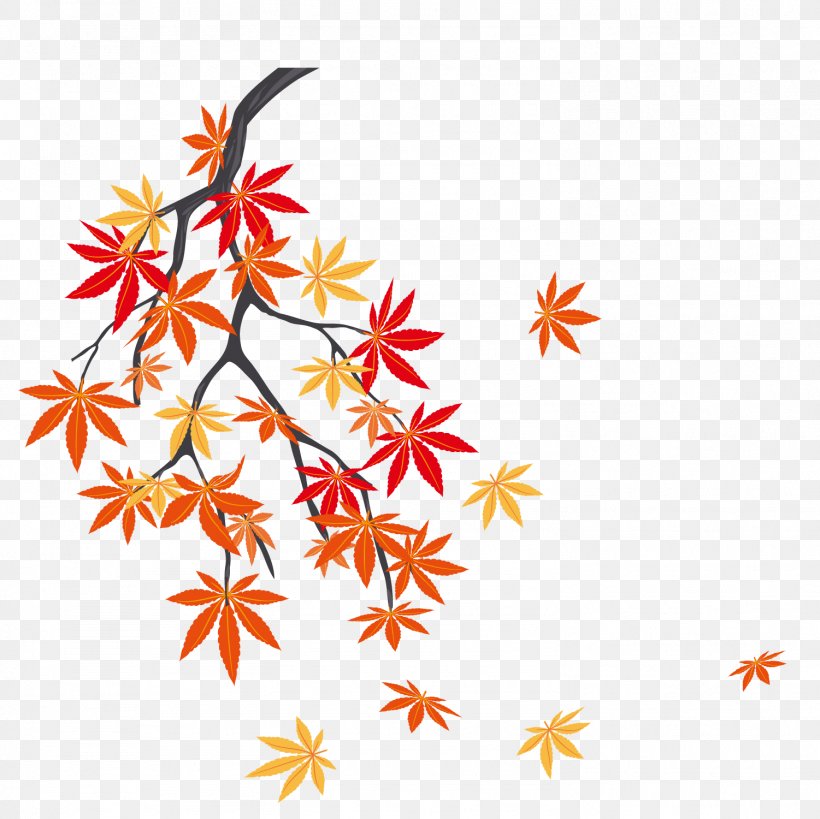 Autumn Leaf Color Maple Leaf, PNG, 1501x1500px, Leaf, Autumn, Autumn Leaves, Branch, Clip Art Download Free