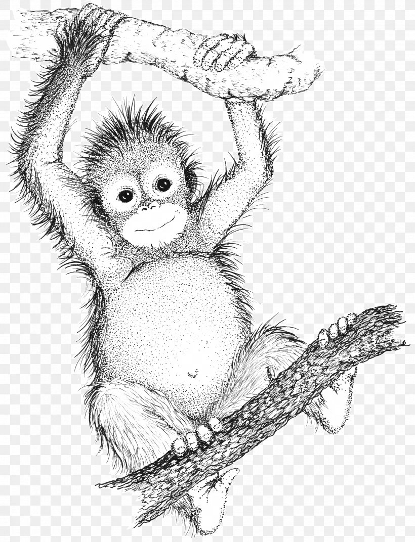 Bornean Orangutan Sumatran Orangutan Primate Chimpanzee Drawing, PNG, 3376x4417px, Watercolor, Cartoon, Flower, Frame, Heart Download Free