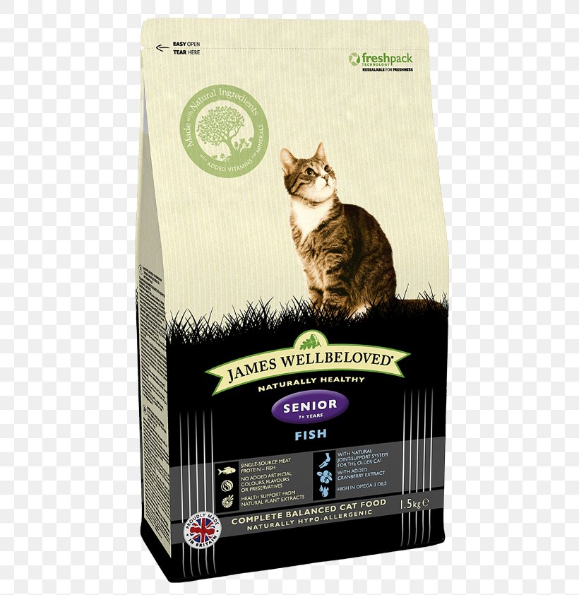 Cat Food Kitten Dog Pet, PNG, 595x842px, Cat Food, Cat, Cat Like Mammal, Cat Supply, Dog Download Free