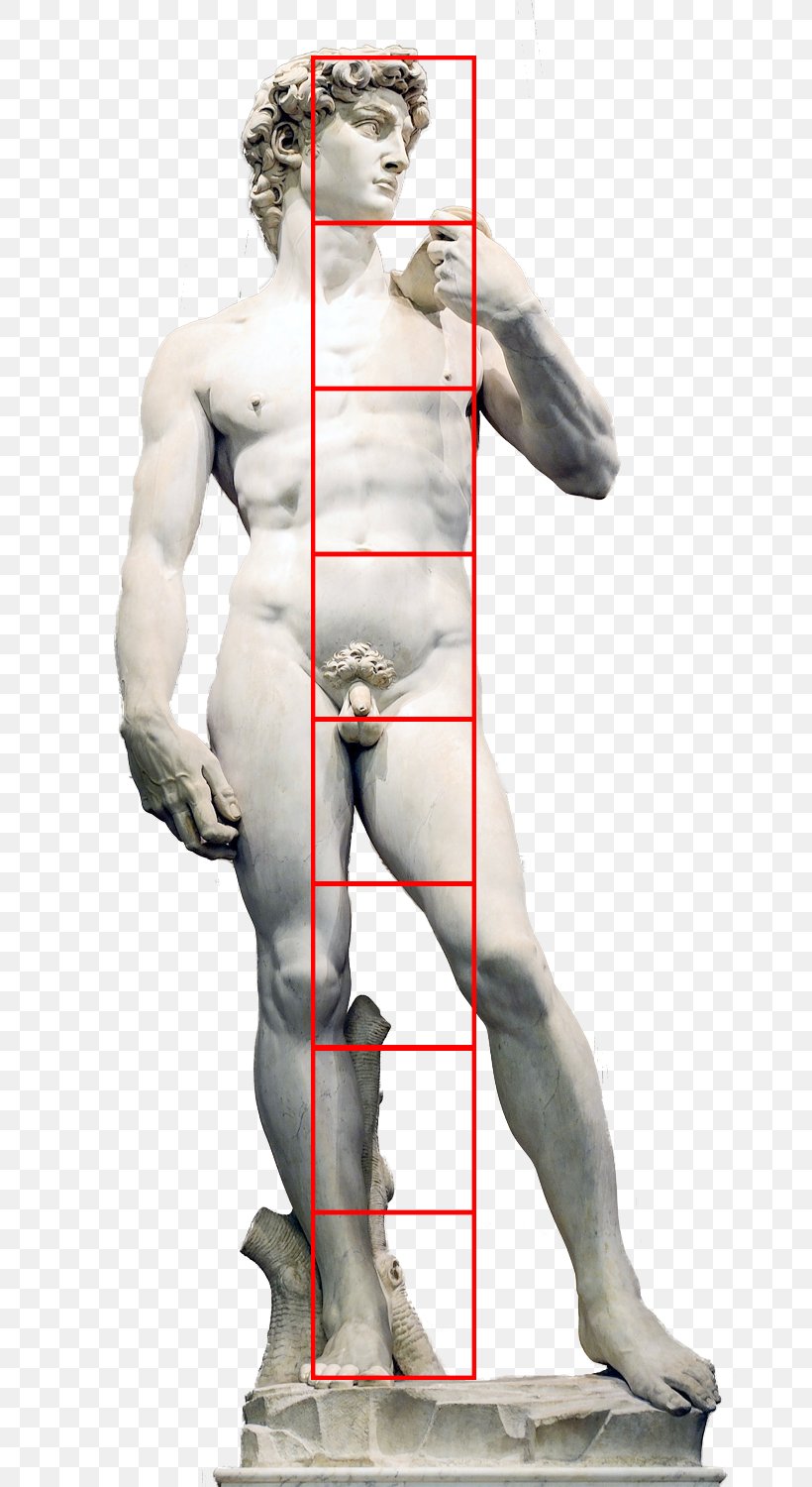 David Italian Renaissance Dying Slave The Creation Of Adam, PNG, 807x1500px, David, Art, Artist, Classical Sculpture, Creation Of Adam Download Free