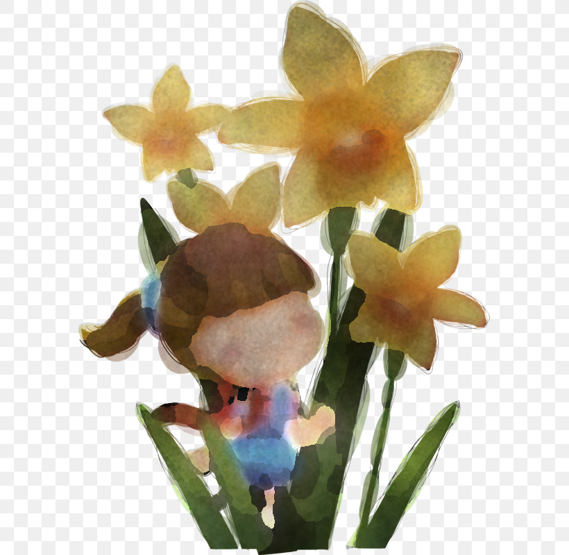 Flower Plant Terrestrial Plant Petal Orchid, PNG, 593x800px, Flower, Cattleya, Dendrobium, Iris, Laelia Download Free
