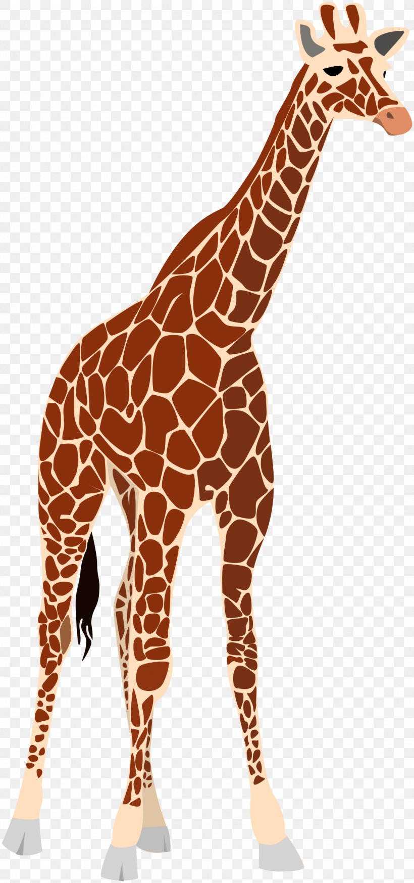 Giraffe Okapi Royalty-free Clip Art, PNG, 1126x2400px, Giraffe, Animal, Animal Figure, Fauna, Giraffidae Download Free