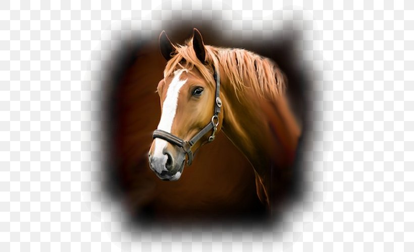 Horse Stable Wall Decal Sticker Barn, PNG, 500x500px, Horse, Adhesive, Barn, Bridle, Decal Download Free