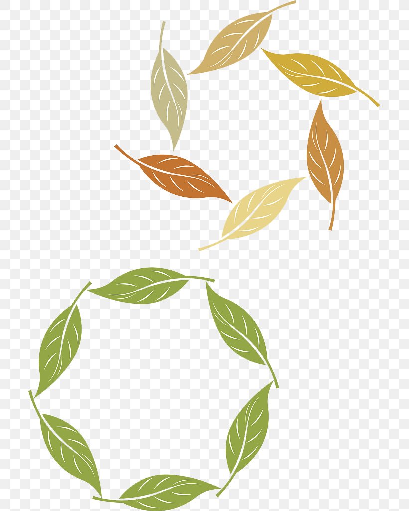 Leaf Circle Ring, PNG, 707x1024px, Leaf, Annulus, Autumn Leaf Color, Branch, Floral Design Download Free