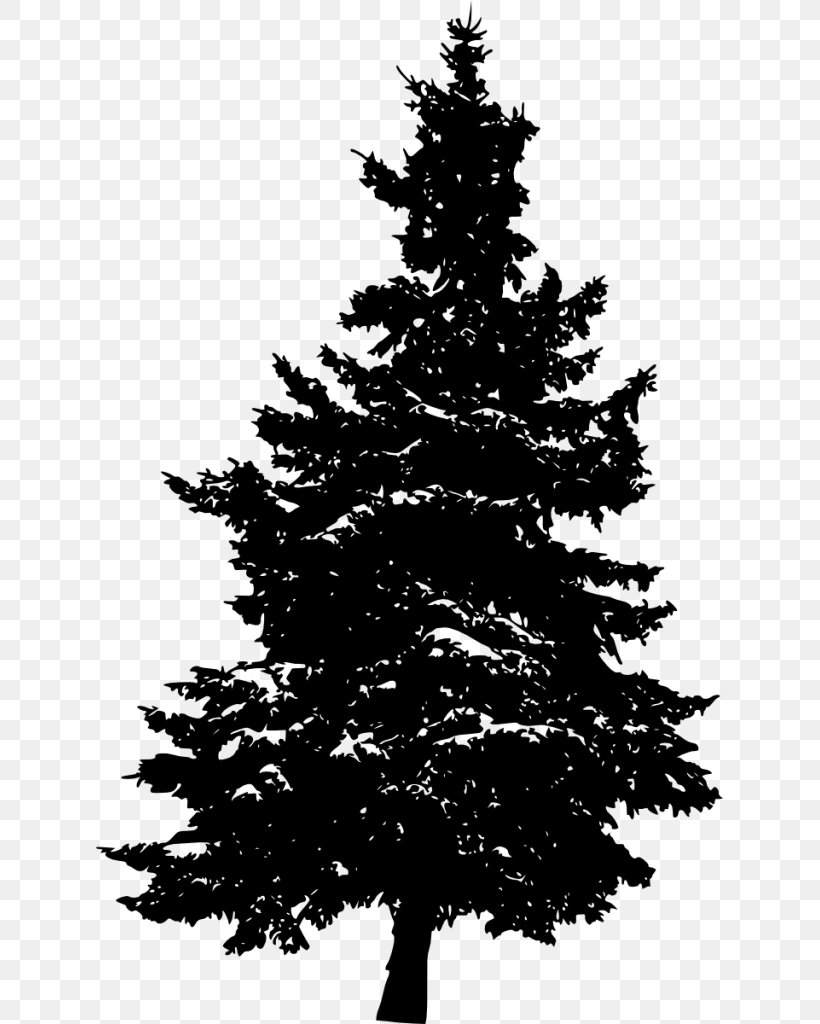 Pine Silhouette Fir Tree, PNG, 627x1024px, Pine, Black And White, Branch, Christmas, Christmas Decoration Download Free