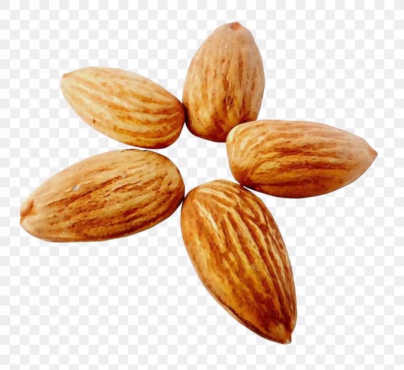 Almond Nut Nuts & Seeds Food Apricot Kernel, PNG, 1700x1559px, Watercolor, Almond, Apricot Kernel, Food, Ingredient Download Free